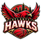 Atlanta Hawks Skyline Crest - Atlanta Hawks NBA Sticker - waterproof vinyl decal
