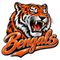 Bengals Roaring Script - Cincinnati Bengals NFL Sticker - waterproof vinyl decal