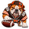 Browns Bulldog - Cleveland Browns NFL Sticker - waterproof vinyl decal