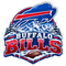 Buffalo Bills Snowy Mountain Wordmark - Buffalo Bills NFL Sticker - waterproof vinyl decal