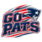 Go Pats - New England Patriots NFL Sticker - waterproof vinyl decal