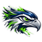 Seahawks Paint Splash Head - Seattle Seahawks NFL Sticker - waterproof vinyl decal
