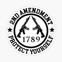 
              PROTECT YOURSELF- 2nd Amendment - Sticker
            