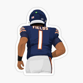 Soldier Fields - Chicago Bears- NFL Football