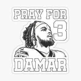 Damar Drawn by Hand - Buffalo Bills - NFL Football - Sports Decal - Sticker
