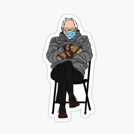 Bernie Sanders Freezing Sticker - waterproof vinyl decal