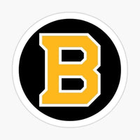 
              Boston Bruins Sticker - waterproof vinyl decal
            