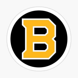 Boston Bruins Sticker - waterproof vinyl decal