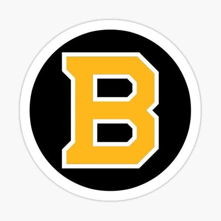 Boston Bruins Sticker - waterproof vinyl decal