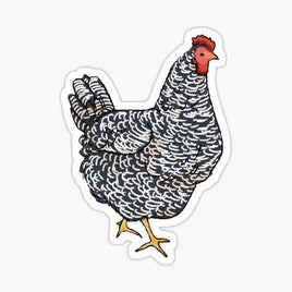 White and Black Chicken Sticker - waterproof vinyl decal